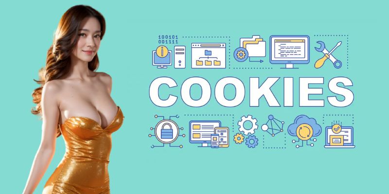 Sử dụng cookies để lưu trữ dữ liệu truy cập