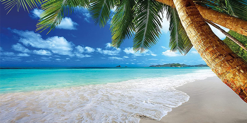 Sổ Mơ Lô Đề Toàn Tập - Hướng Dẫn Chi Tiết Cách Chọn Số 4 Mơ thấy những sự vật, hiện tượng cũng liên quan các con số